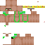 Texture for romain