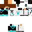 Texture for nika
