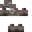 Texture for racoon base 