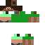 Texture for Steve