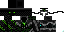 Texture for Rodrisc