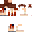 Texture for 霊夢博士