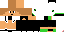 Texture for Flinkp