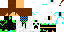 Texture for Mr_Winter_