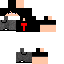 Texture for XPerry_Evo