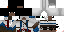 Texture for Coonor