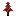 Texture for red spruce sapling