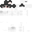 Texture for Phantom