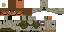 Texture for ds