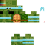 Texture for turtle
