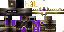 Texture for Ender Knight