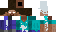Texture for Herobrins