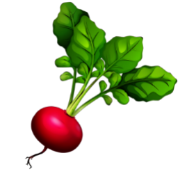 Texture for Beetroot