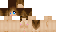 Texture for скин