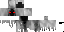 Texture for Phantom