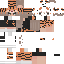 Texture for lioncan
