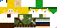 Texture for Link