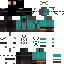 Texture for Ebin