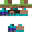 Texture for Steve and GrassBlock