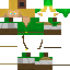 Texture for Link