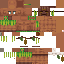 Texture for islander5
