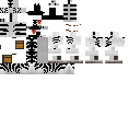 Texture for zebra