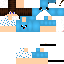 Texture for Flashsbr