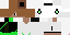 Texture for steve