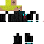 Texture for IceFrost_ inverted skin