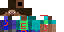 Texture for steve