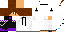 Texture for :*
