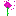 Texture for allium
