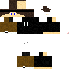 Texture for Perry 3