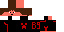 Texture for Botando9 