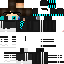 Texture for levi2
