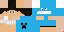 Texture for GT