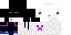 Texture for ender