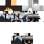 Texture for leo1011
