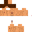Texture for dicarvinyo2.0