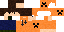 Texture for creeperboy