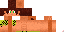 Texture for Survivor