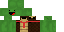 Texture for Turtle w/ tie