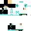 Texture for microchip