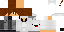 Texture for Link...