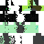 Texture for HackerSkin