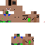Texture for botak steve