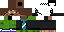 Texture for haiden7