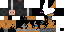 Texture for Astro