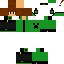 Texture for leonardo_palma