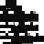Texture for Ninja